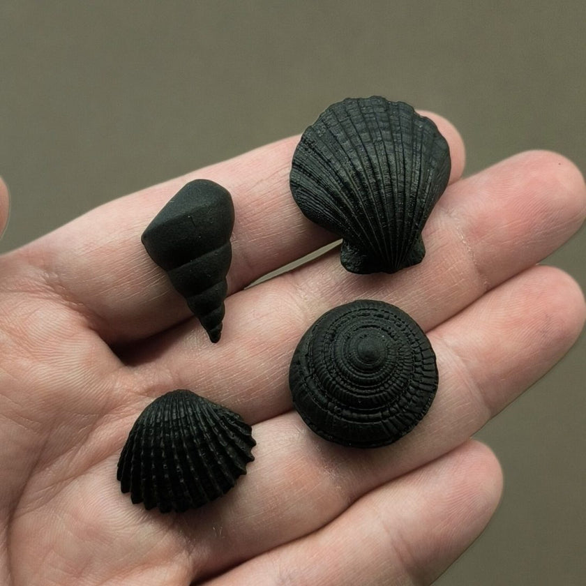 Shelby 4'lü Küpe Seti - Night