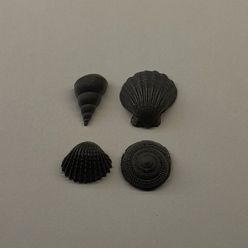 Shelby 4'lü Küpe Seti - Night