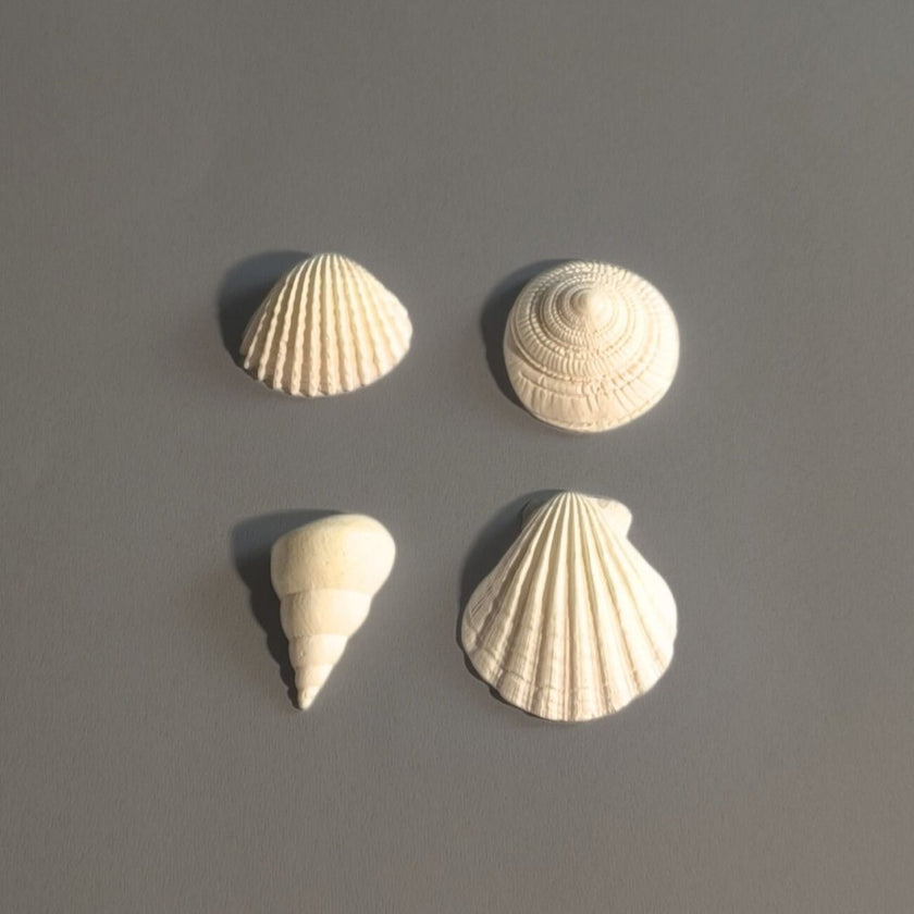 Shelby 4'lü Küpe Seti - Salt White