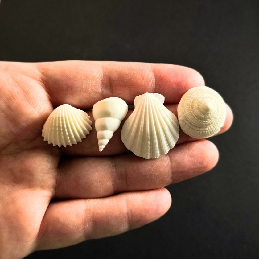 Shelby 4'lü Küpe Seti - Salt White